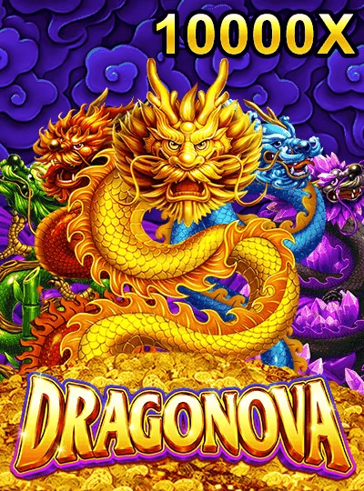 55mmr55